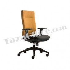 BBS(F) Medium Back Chair